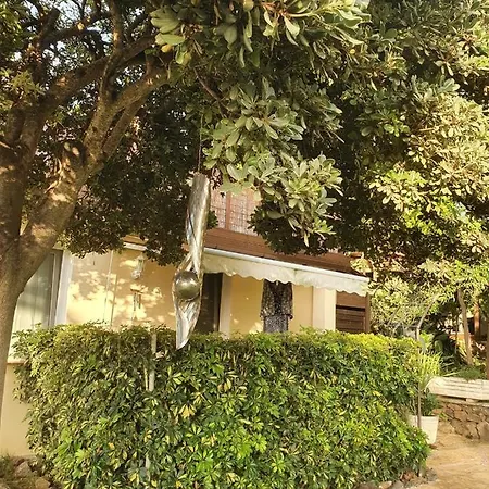 Apartment Saphir Entspannen In Privater Wellness Finca * La Orotava